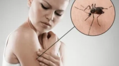 Čo by mohlo byť ako hashový skus?